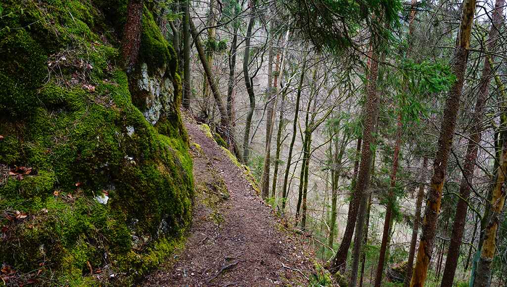 hollenberg weg new