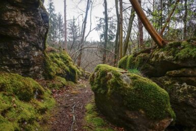 schwedensteig cover new