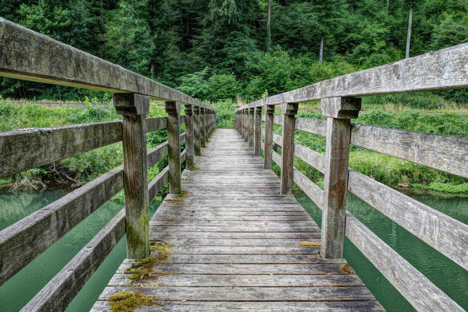 Holzbruecke ueber der Wiesent new