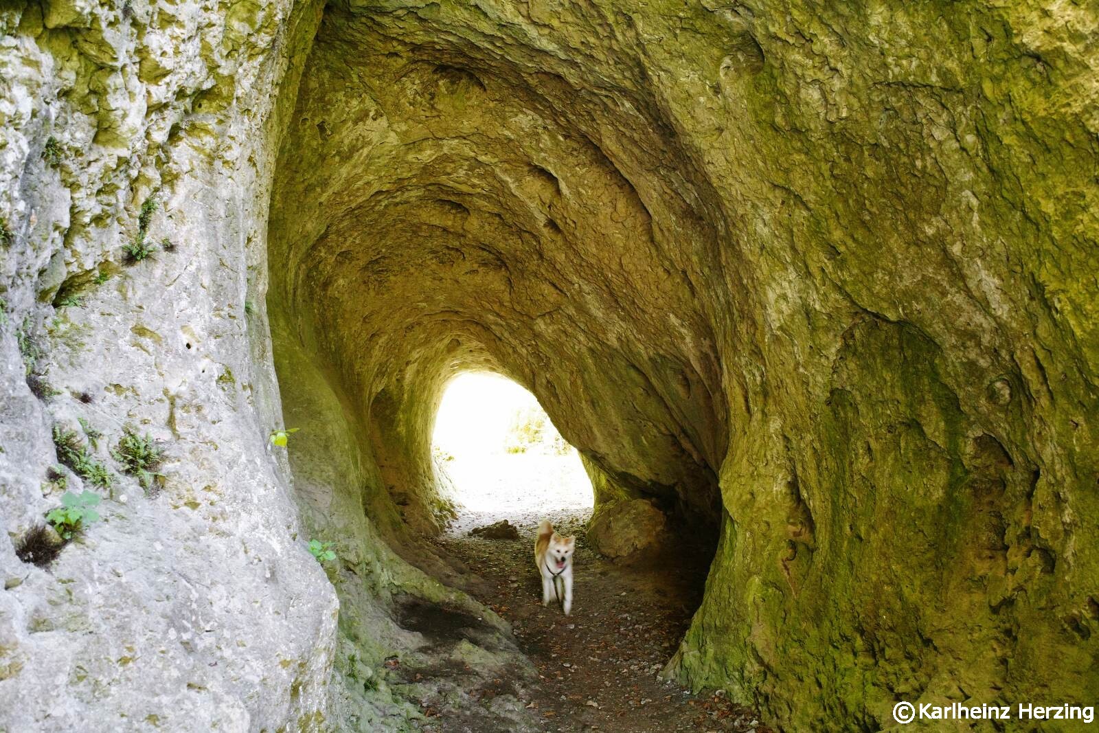 Pferdsloch Hoehle