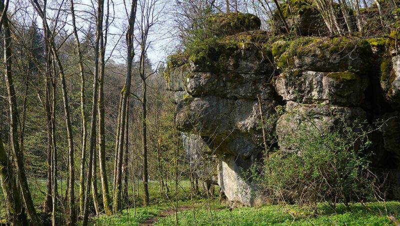 Felsen beim Ailsbach
