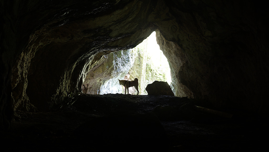 In der Fuchslochhöhle bei Heckenhof