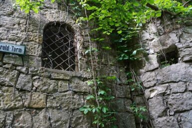 herold turm new