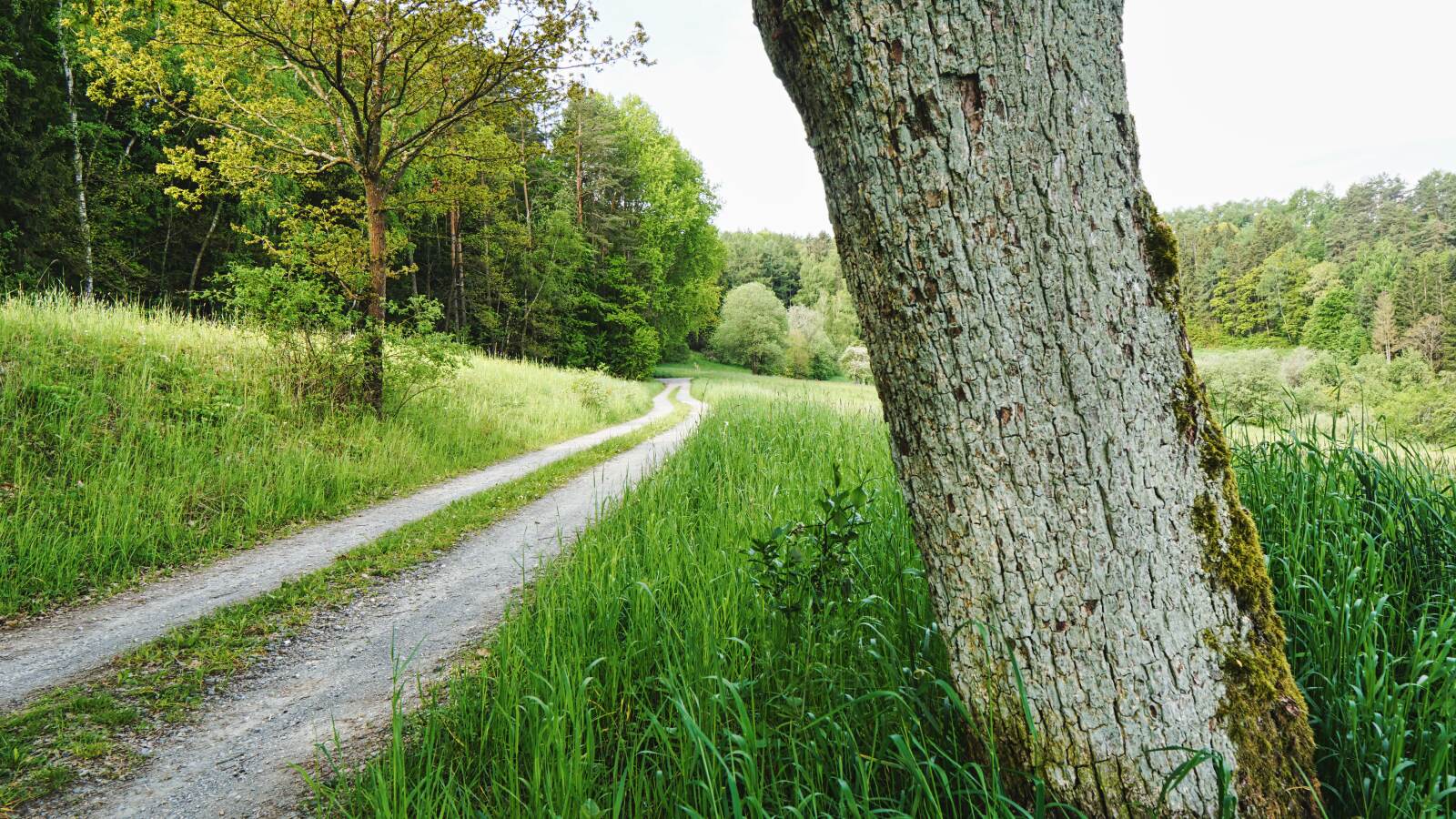 Glashuettener Weg Roter Berg