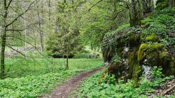 Aufseßtal-Rundwanderung-ab Doss über Aufseß Aufsesstal Rundwanderung ab Doss ueber Aufsess