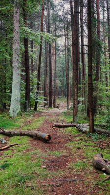 Unser Wanderweg