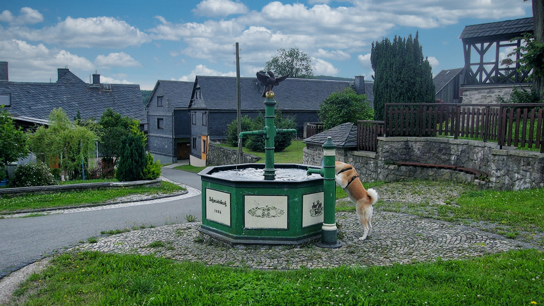 schieferweg yuki