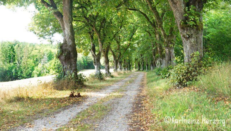 Weg beim Schloss Oberaufsess