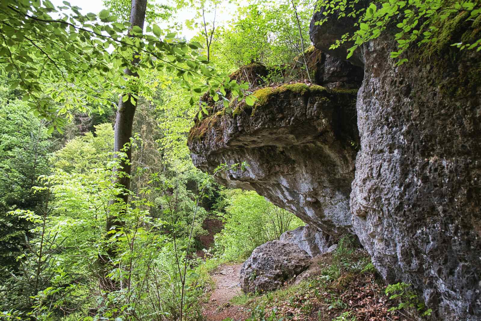 felsen weg pottenstein