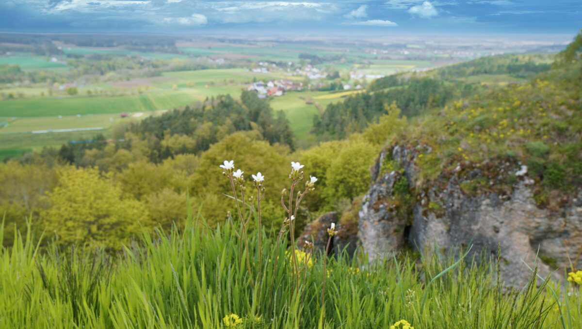 Plankenstein Aussicht