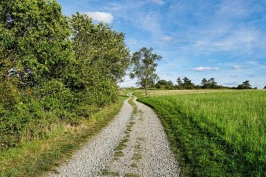 Goerauer Anger Baerental Weg new