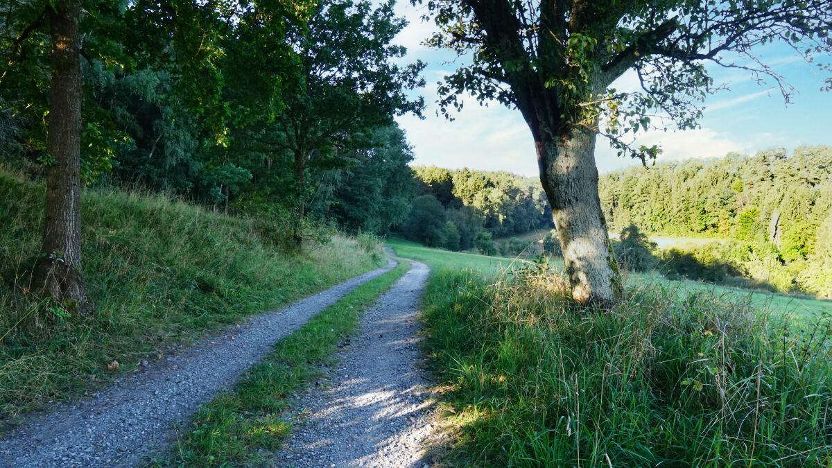 glashuetten wald new