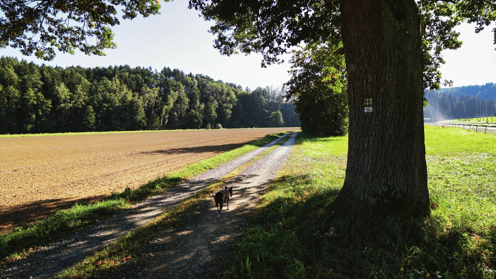 neustadt waldnaab mara