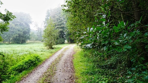 neustadt waldnaab wege