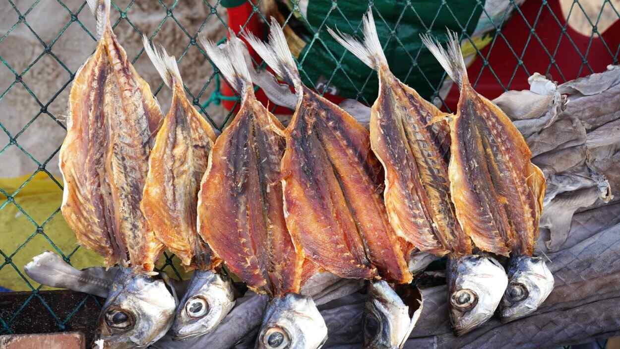 nazare trockenfisch getrocknet new