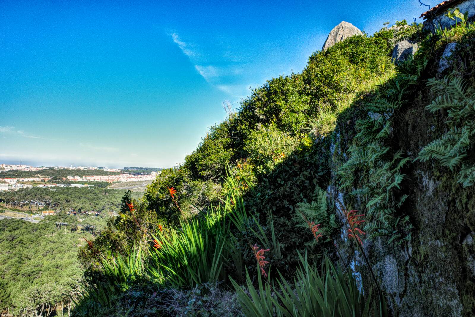 Natur beim Monte de São Bartolomeu
