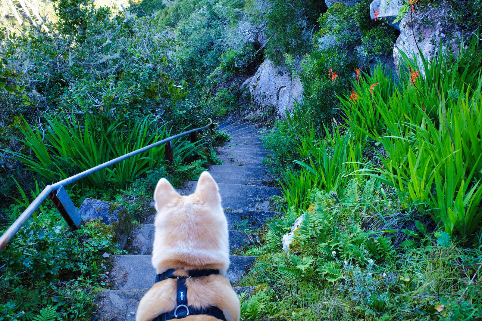 Monte de São Bartolomeu - der Anstieg