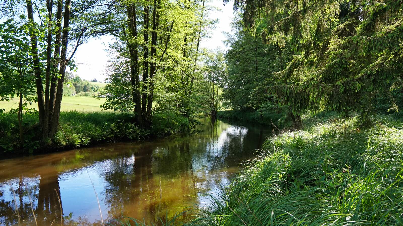 Die Pfreimd