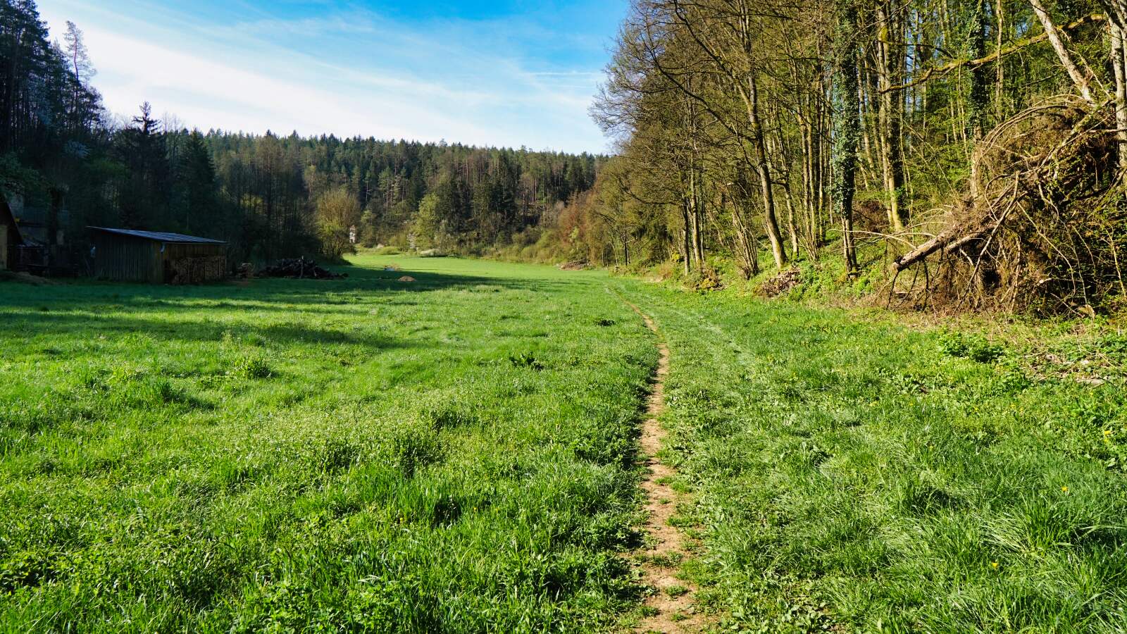 Wiesenweg im Aufsesstal new