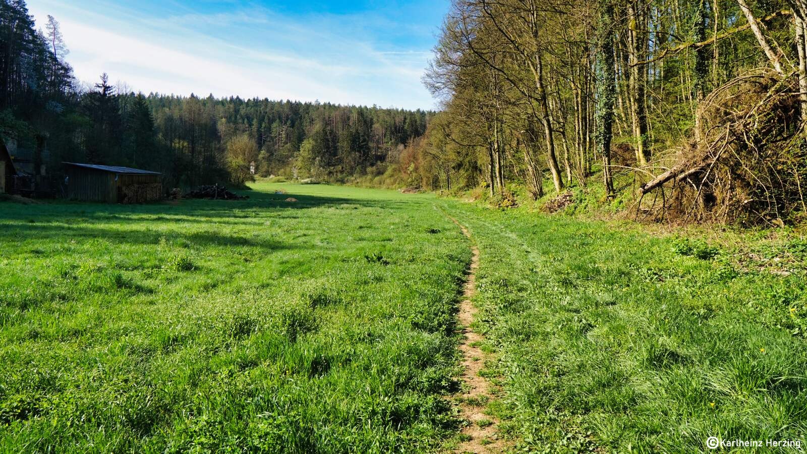 Wiesenweg im Aufsesstal