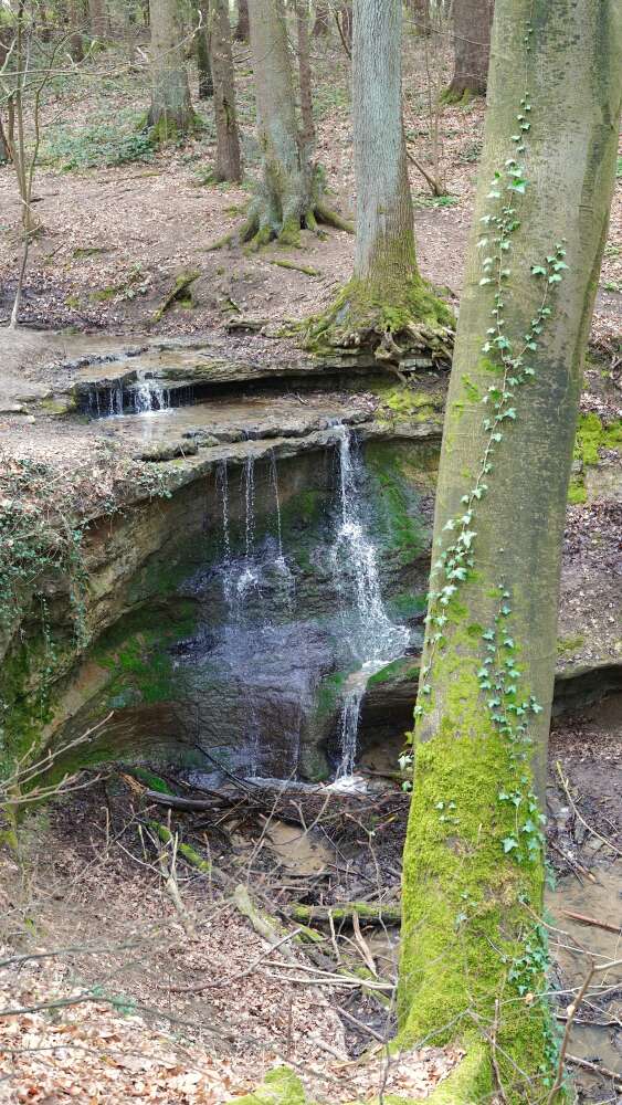 klingender wasserfall efeu klingender wasserfall efeu