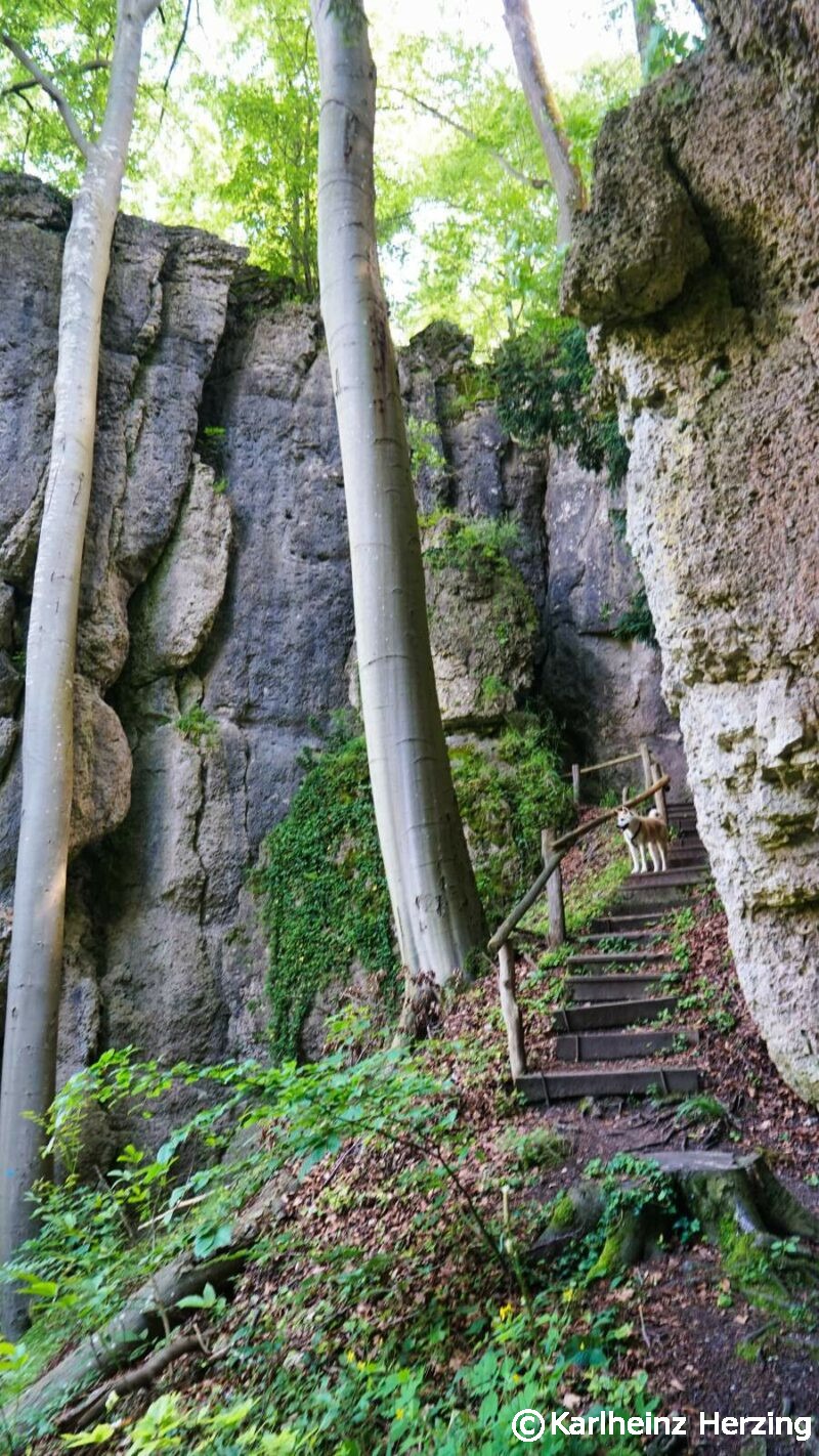 waischenfeld goessweinstein felsen