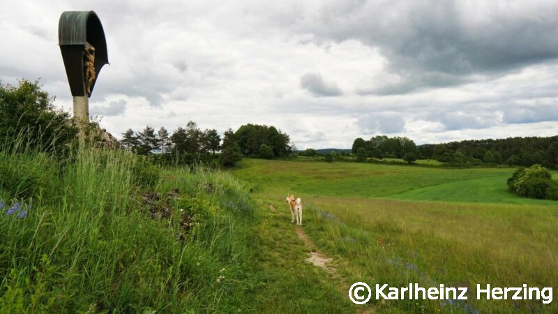 waischenfeld goessweinstein landschaft