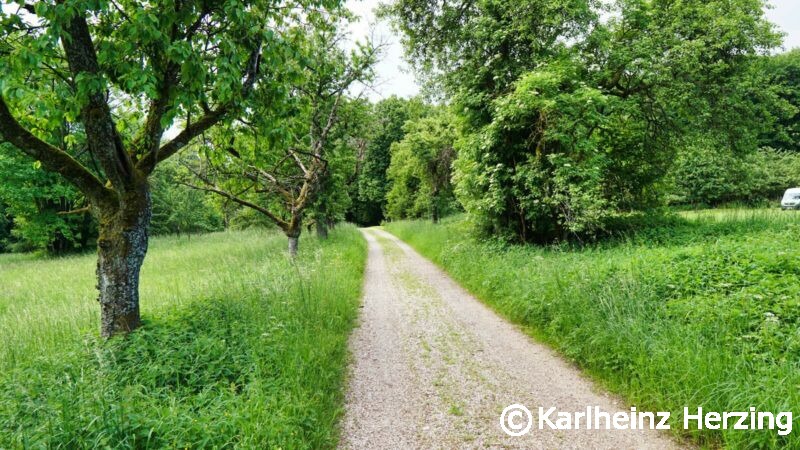 waischenfeld goessweinstein steinweg