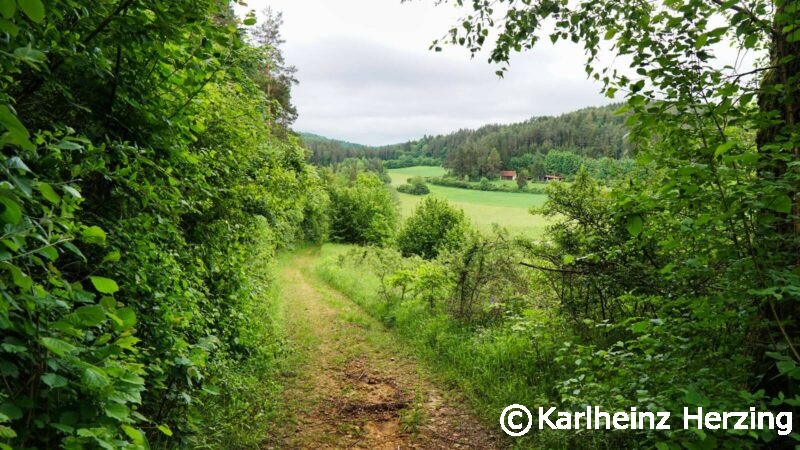 waischenfeld goessweinstein weg