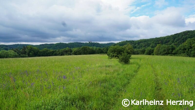 waischenfeld goessweinstein wiesenweg