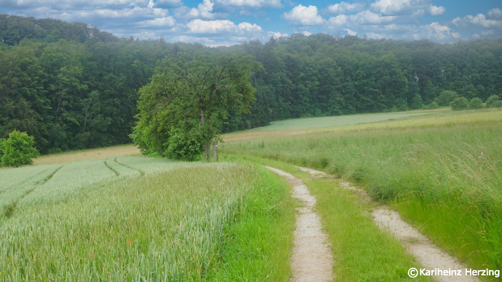 Weg der 7-Tage-Wanderung