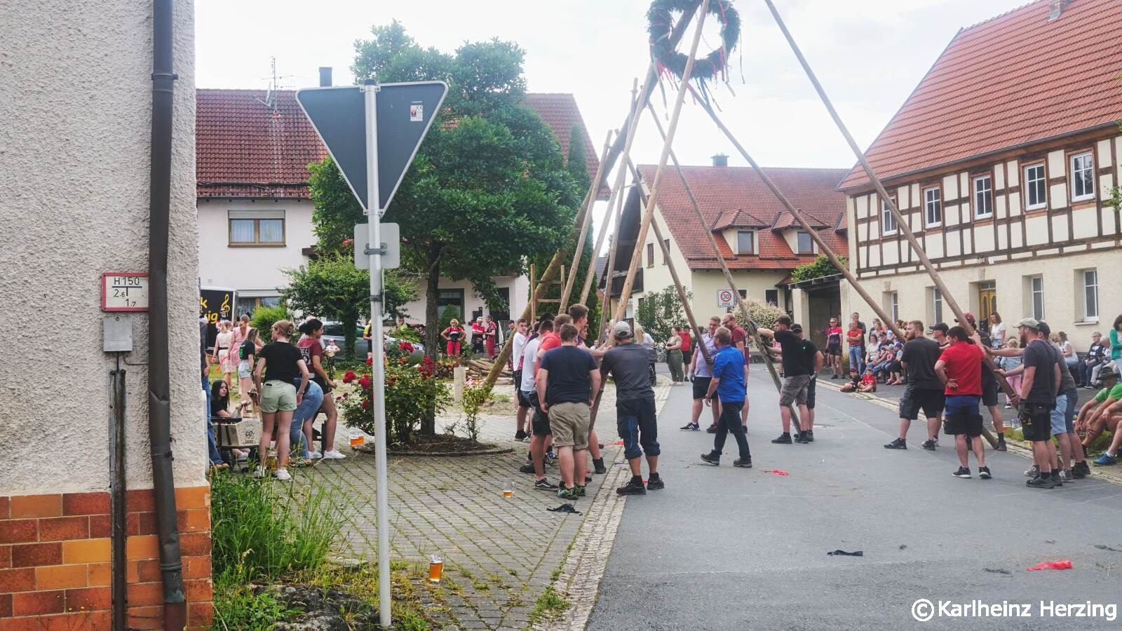 7 tage maibaum