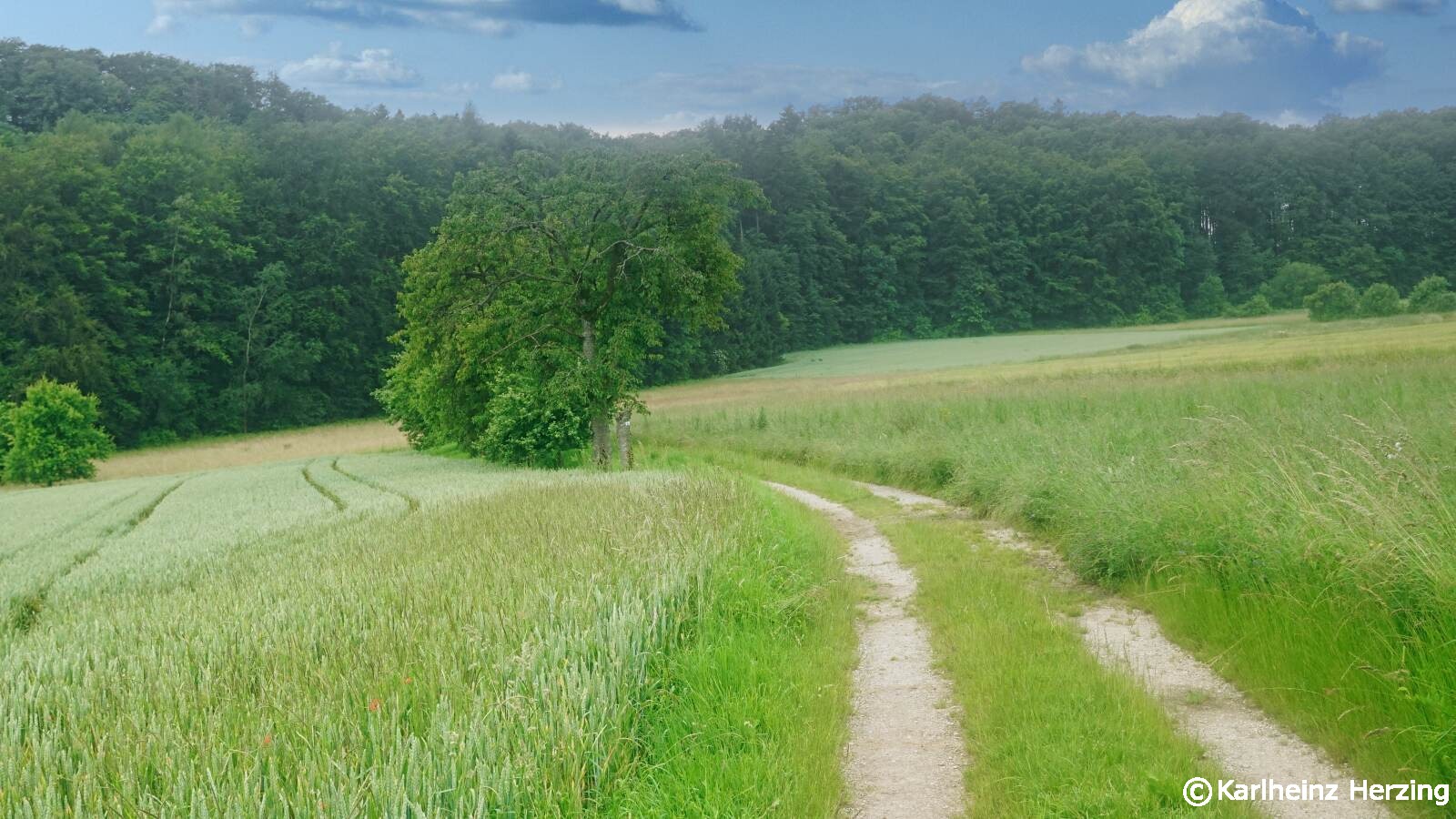 7 tage wiese