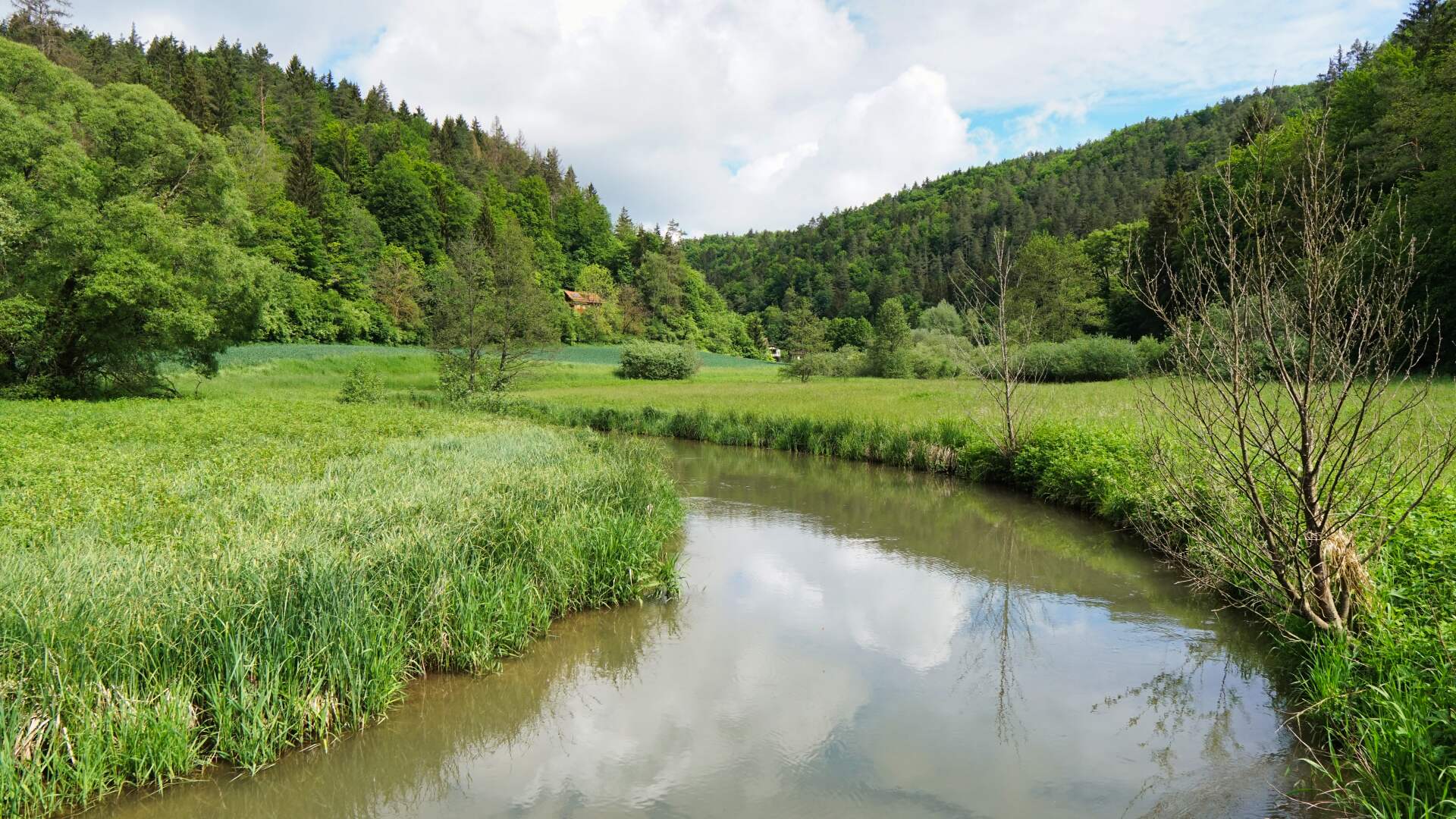 Muggendorf Waischenfeld Home 1