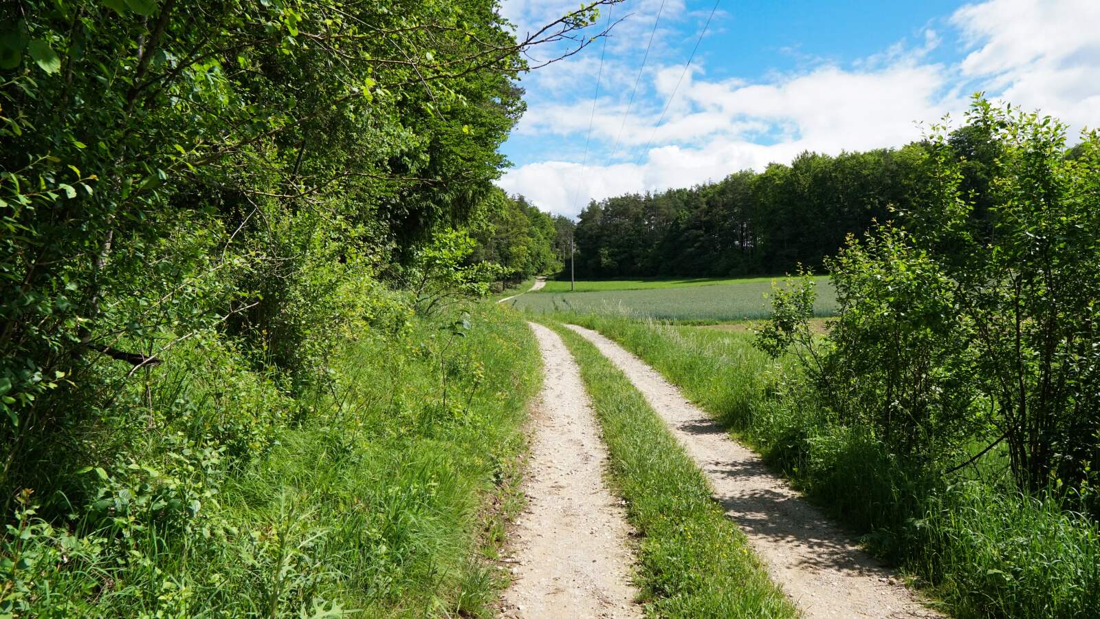 Muggendorf Waischenfeld Weg