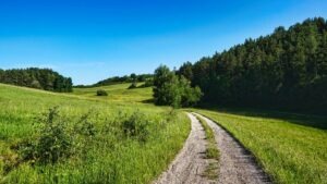 Waischenfeld-Hohenmirsberg-23,6 KM-518 HM