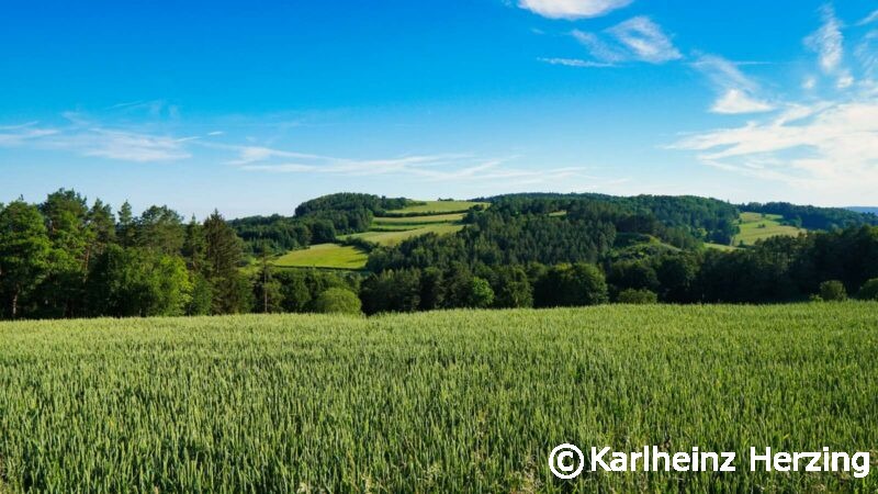 Waischenfeld Hohenmirsberg Aussicht