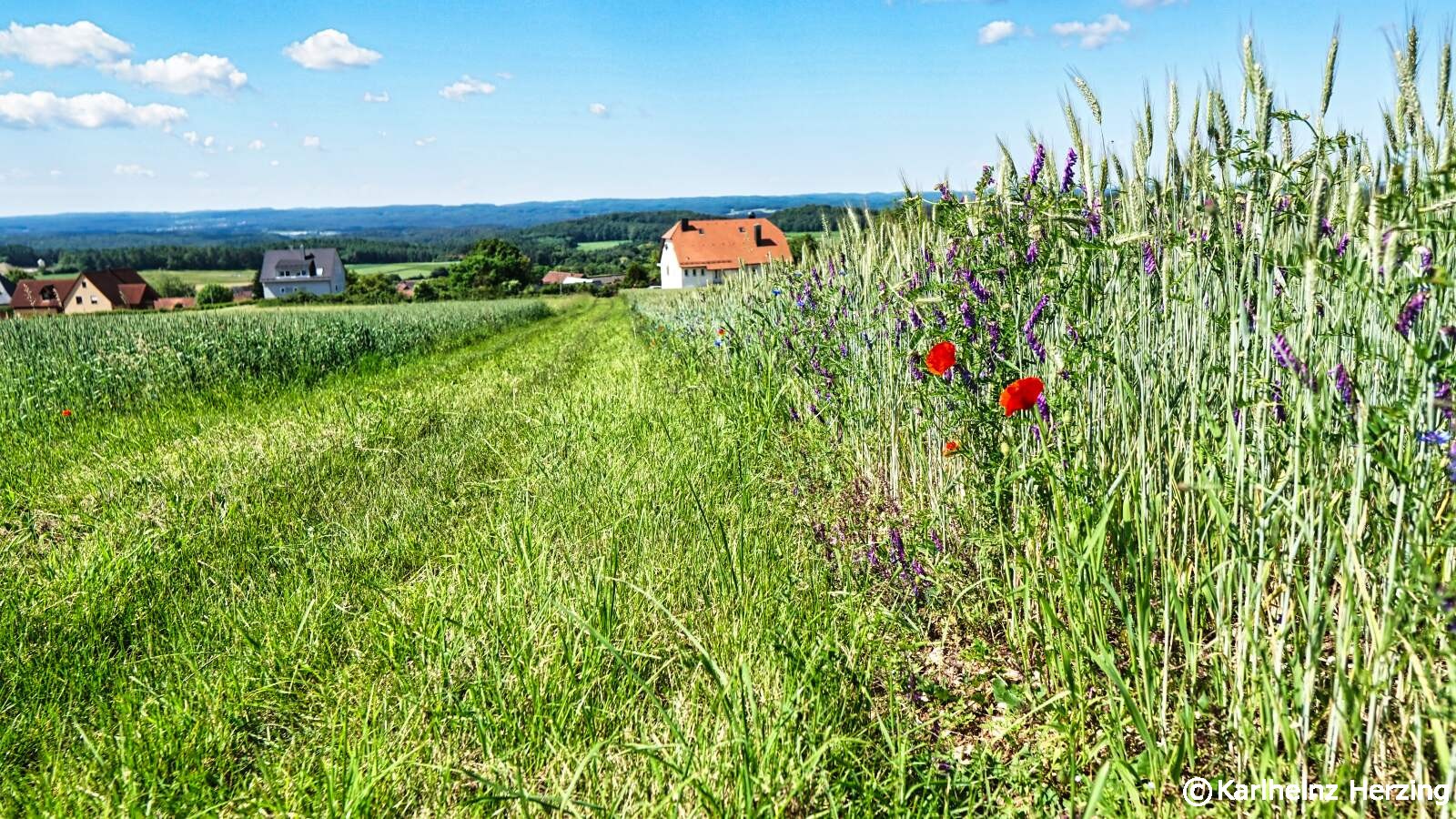 Waischenfeld-Hohenmirsberg