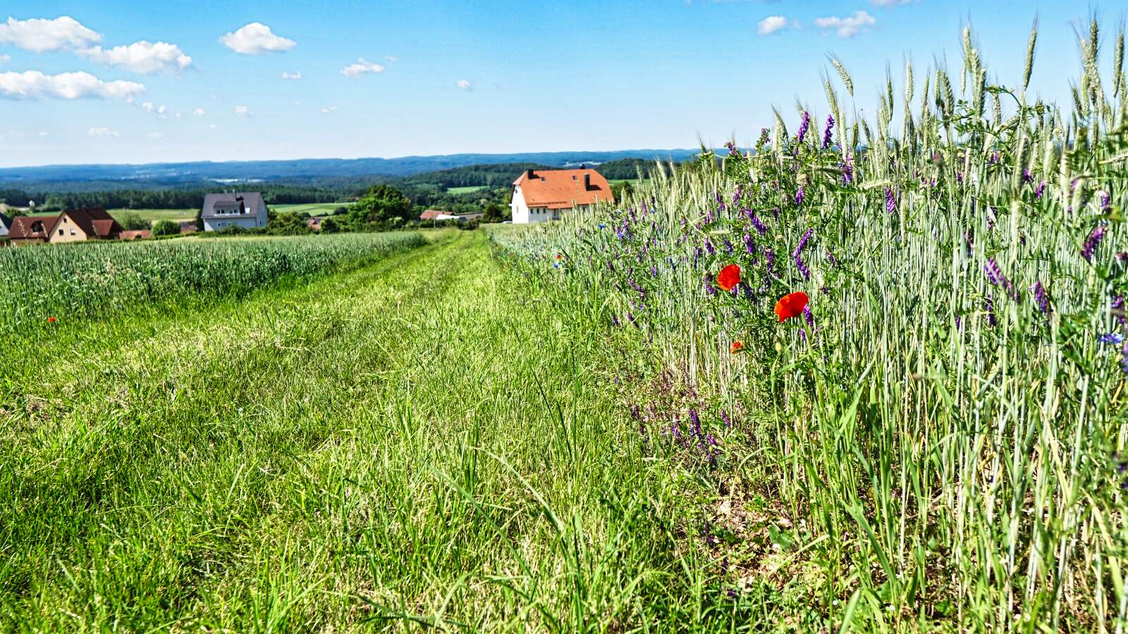 Waischenfeld-Hohenmirsberg