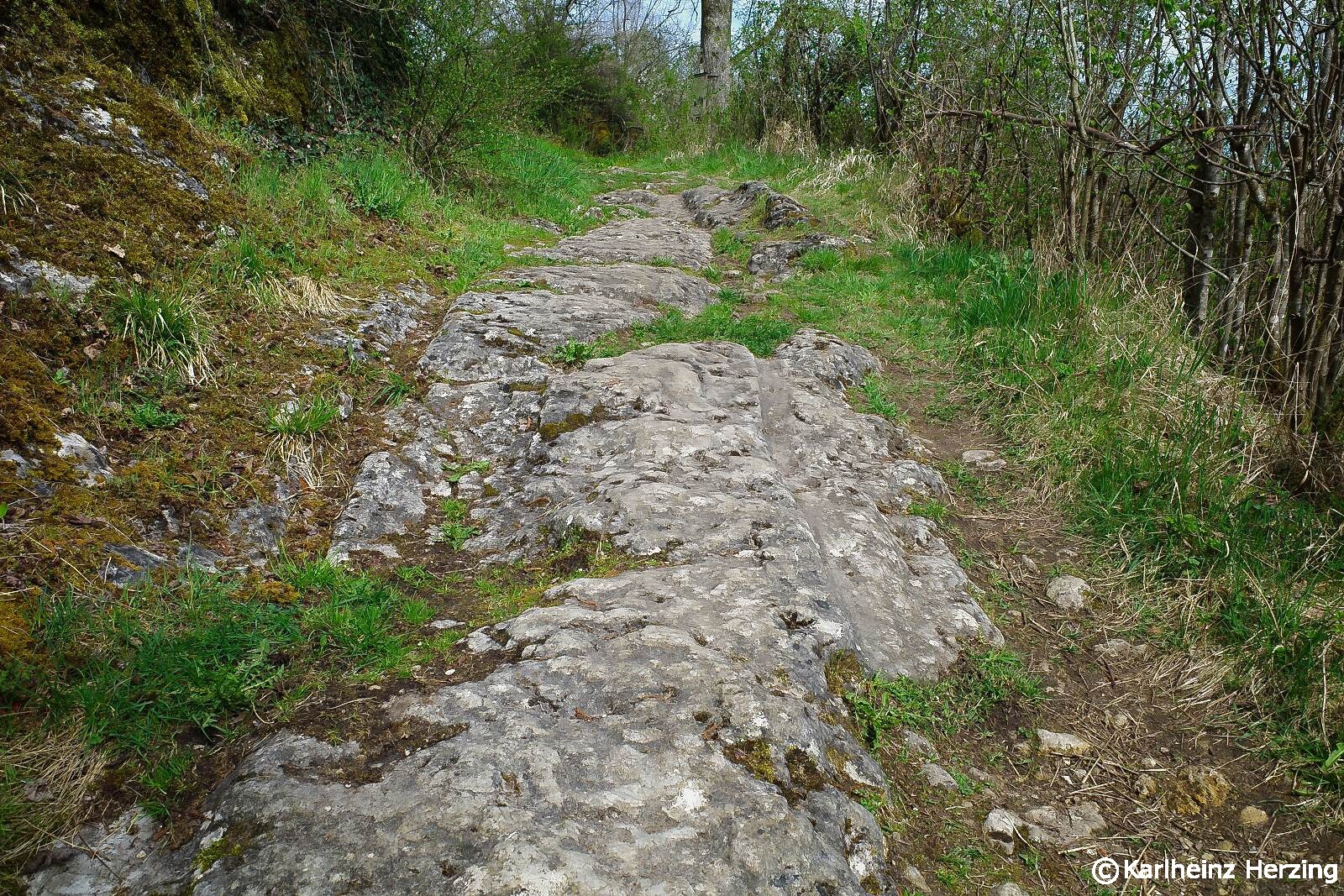 siegenberg reifenspuren