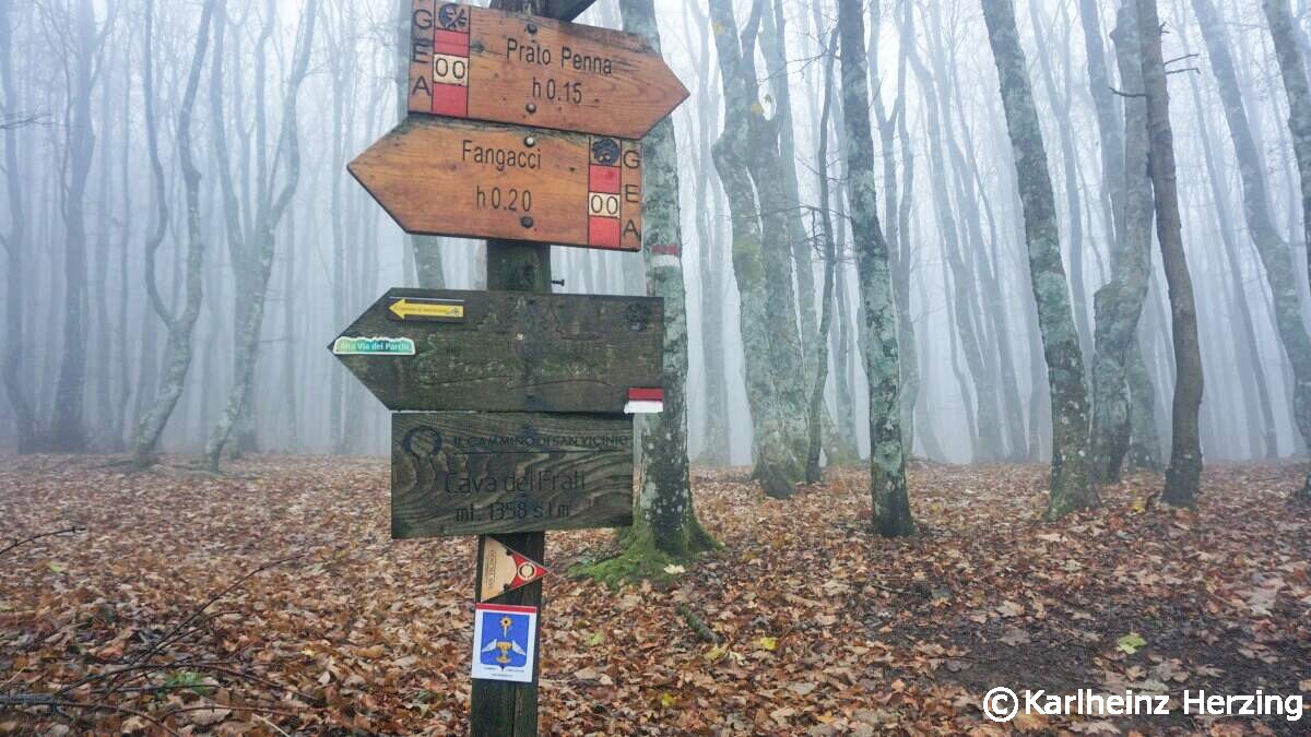 Franziskusweg tag zwei nebelwald pic