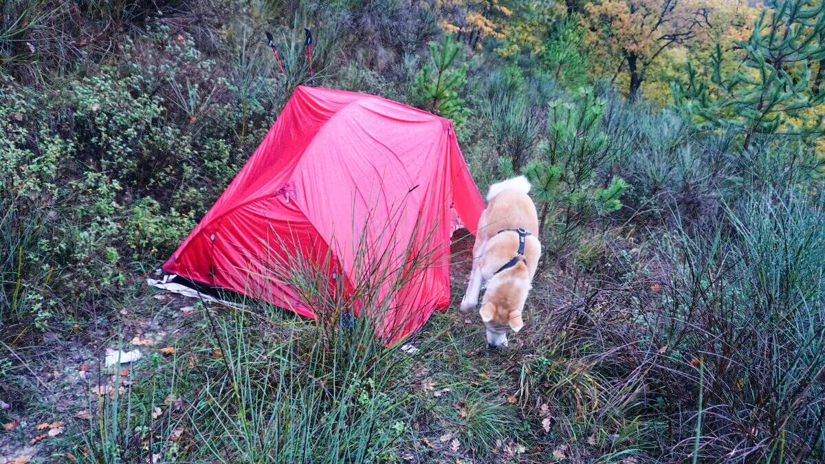 franziskusweg vorwort zelt pic