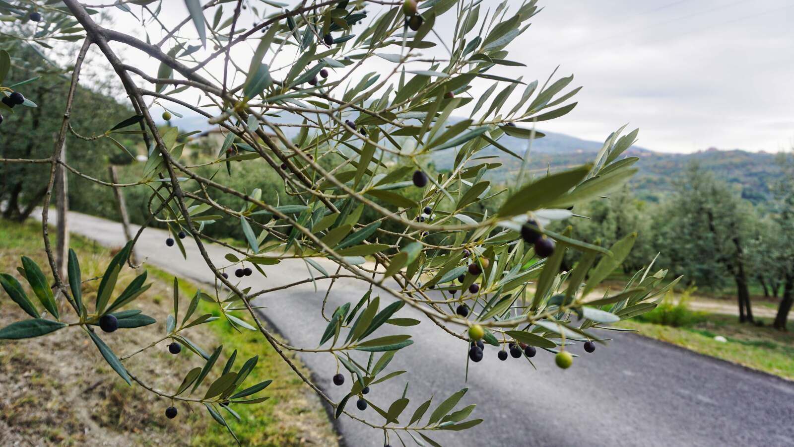 Franziskusweg erster tag