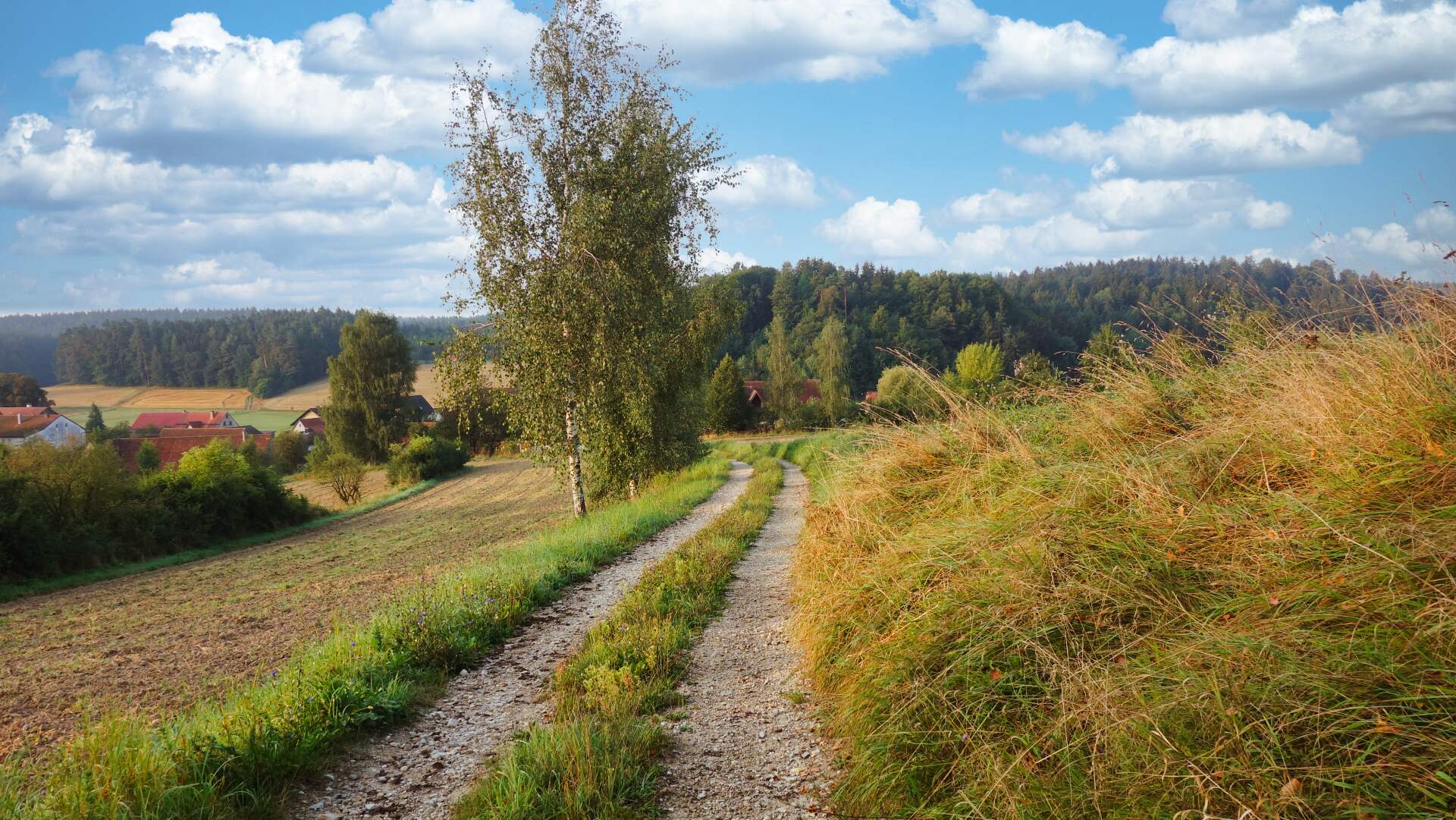 albweg home