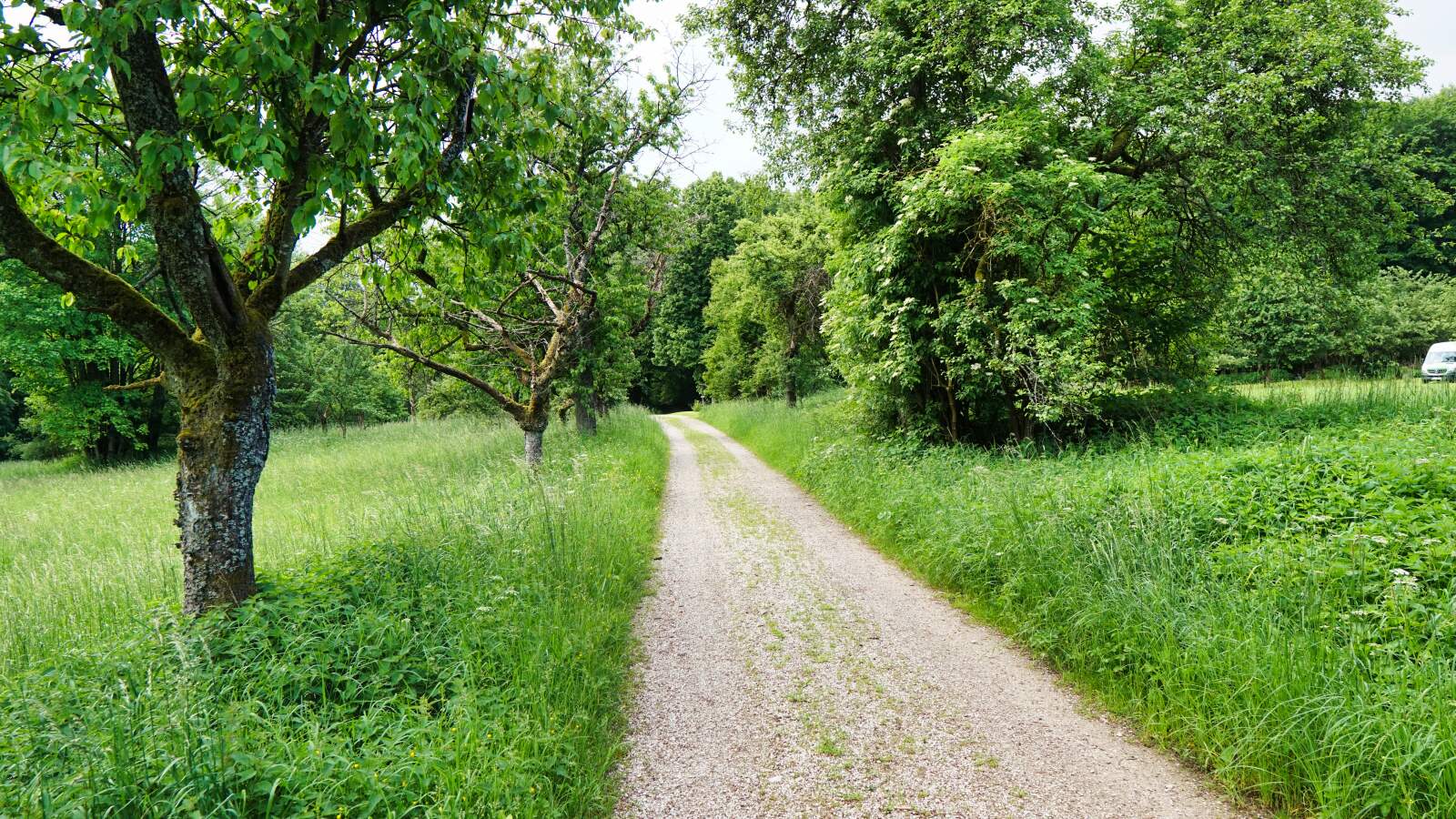 waischenfeld goessweinstein steinweg