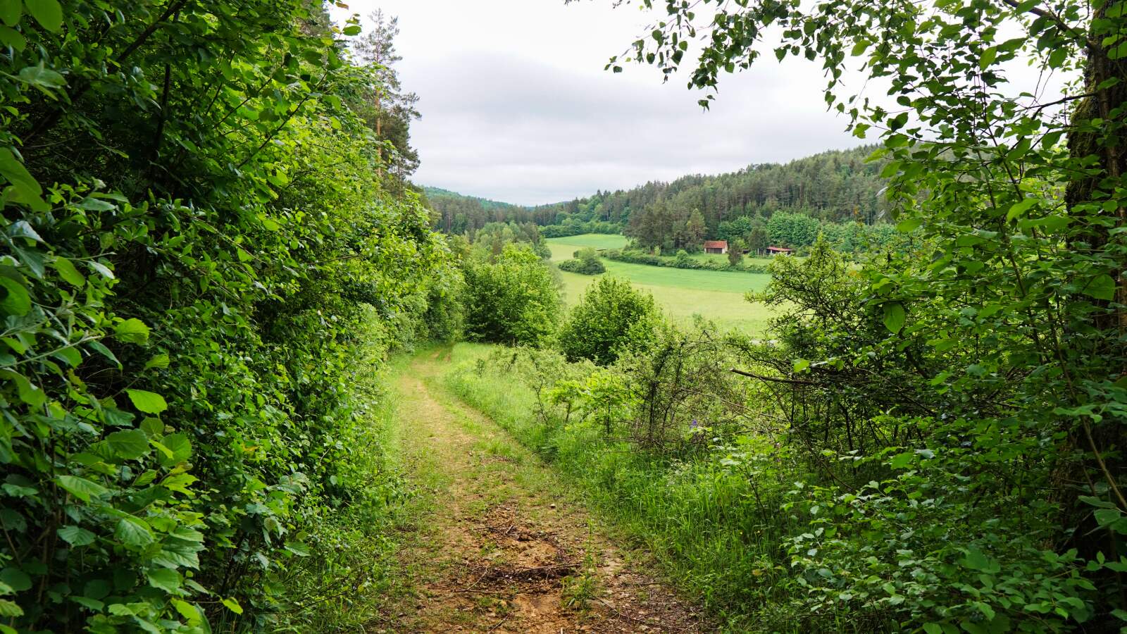 waischenfeld goessweinstein weg