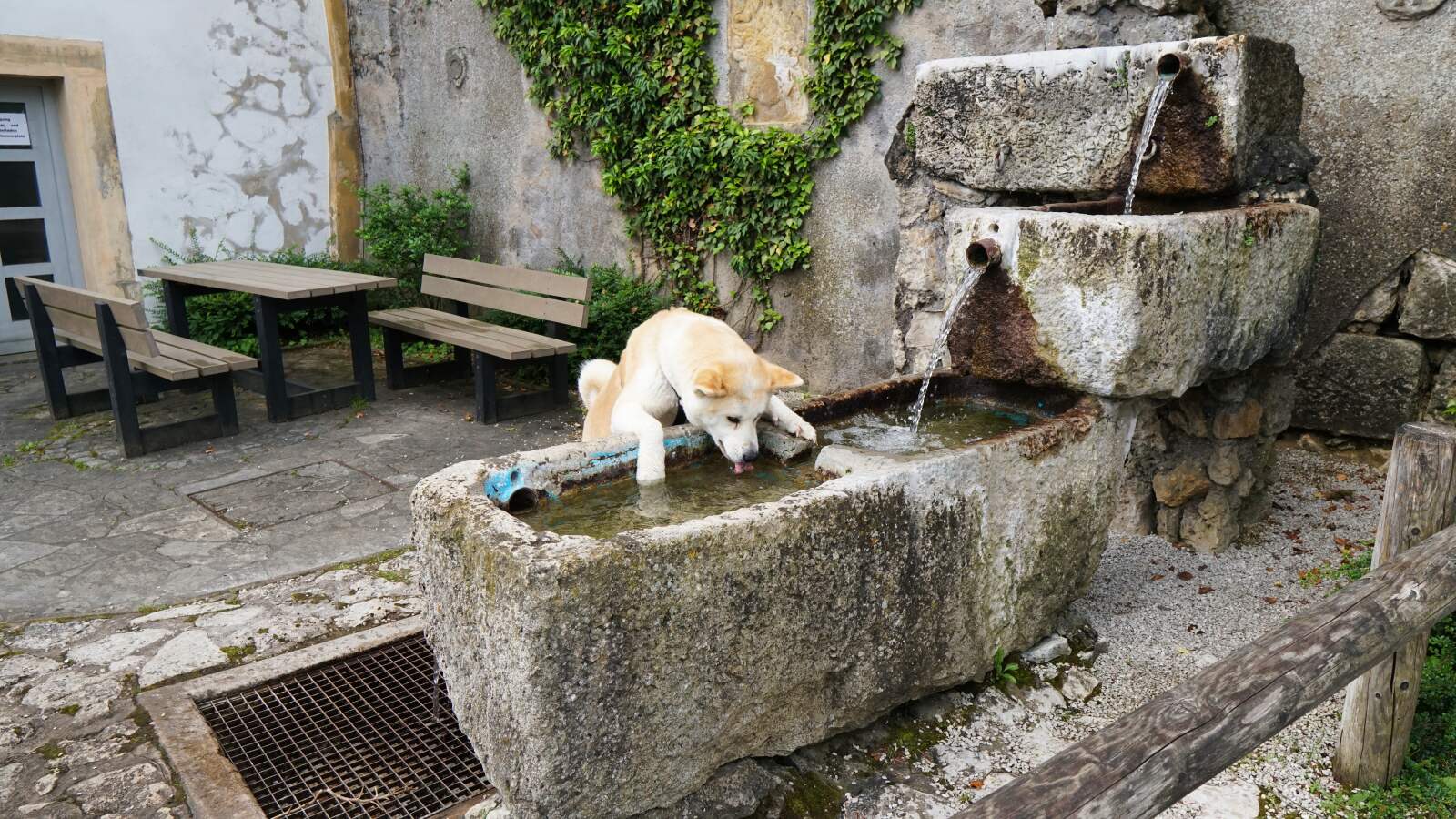 waischenfeld goessweinstein yuki