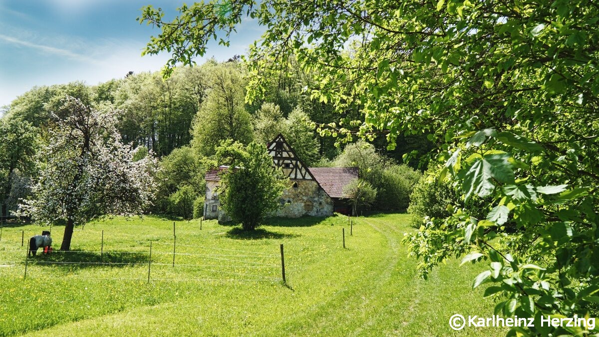 Ezelwang Neukirchen landschaft