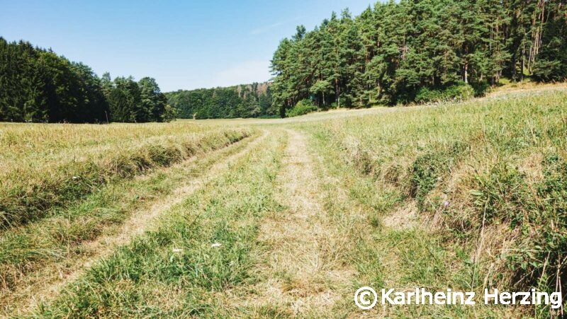 Kirchahorn Pottenstein Weg