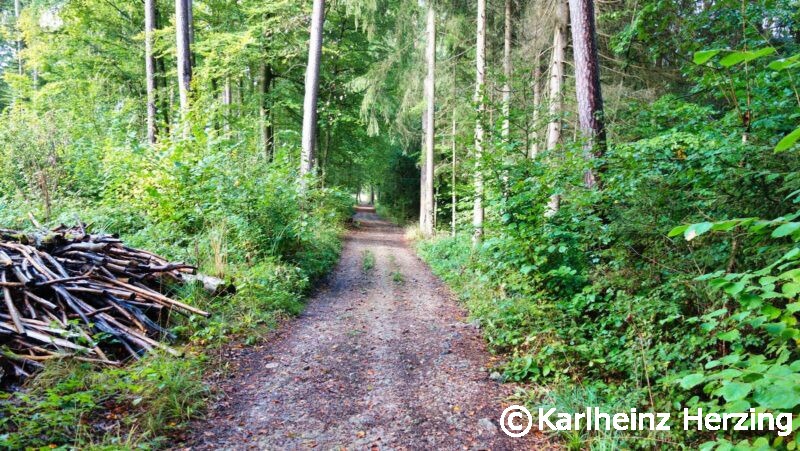 goessweinstein egloffstein weg